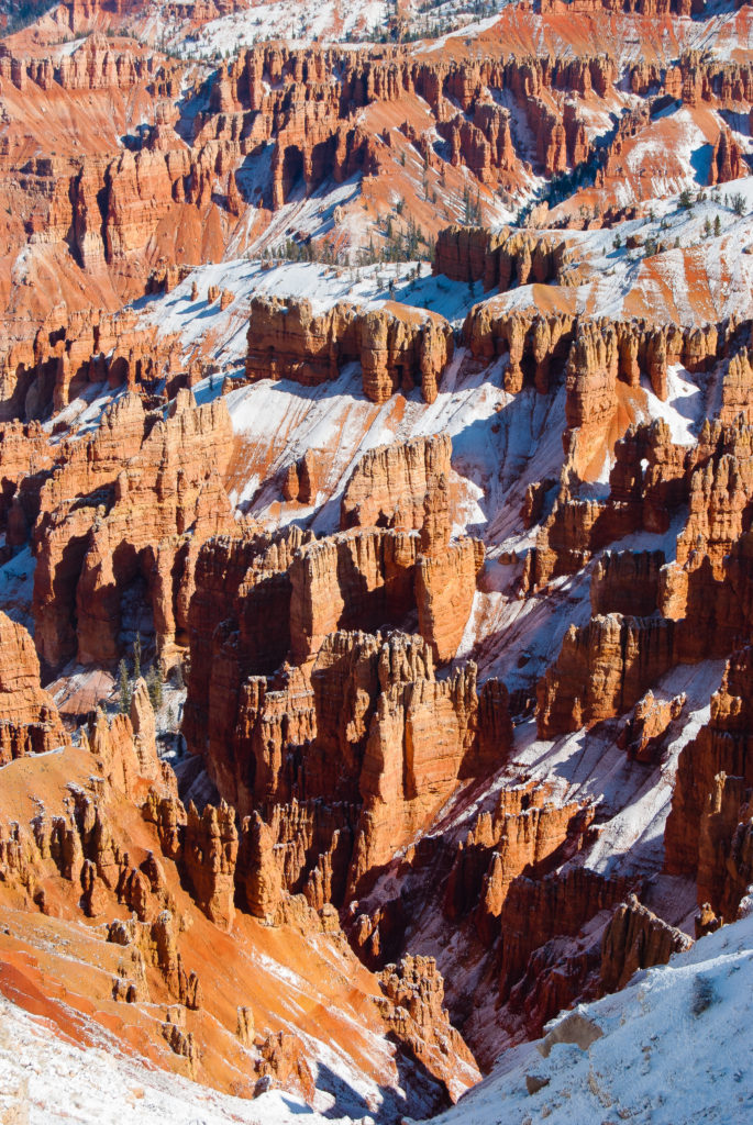 Cedar Breaks Winter