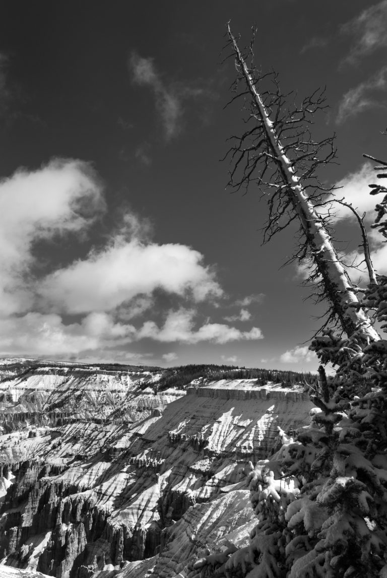 Cedar Breaks Winter II
