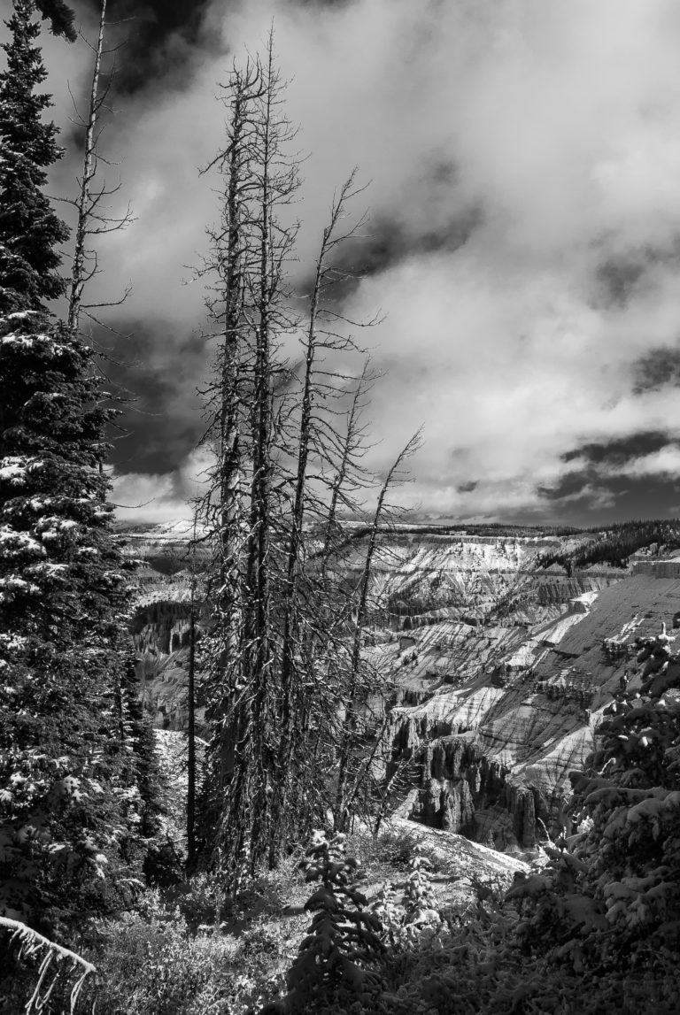 Cedar Breaks Winter I