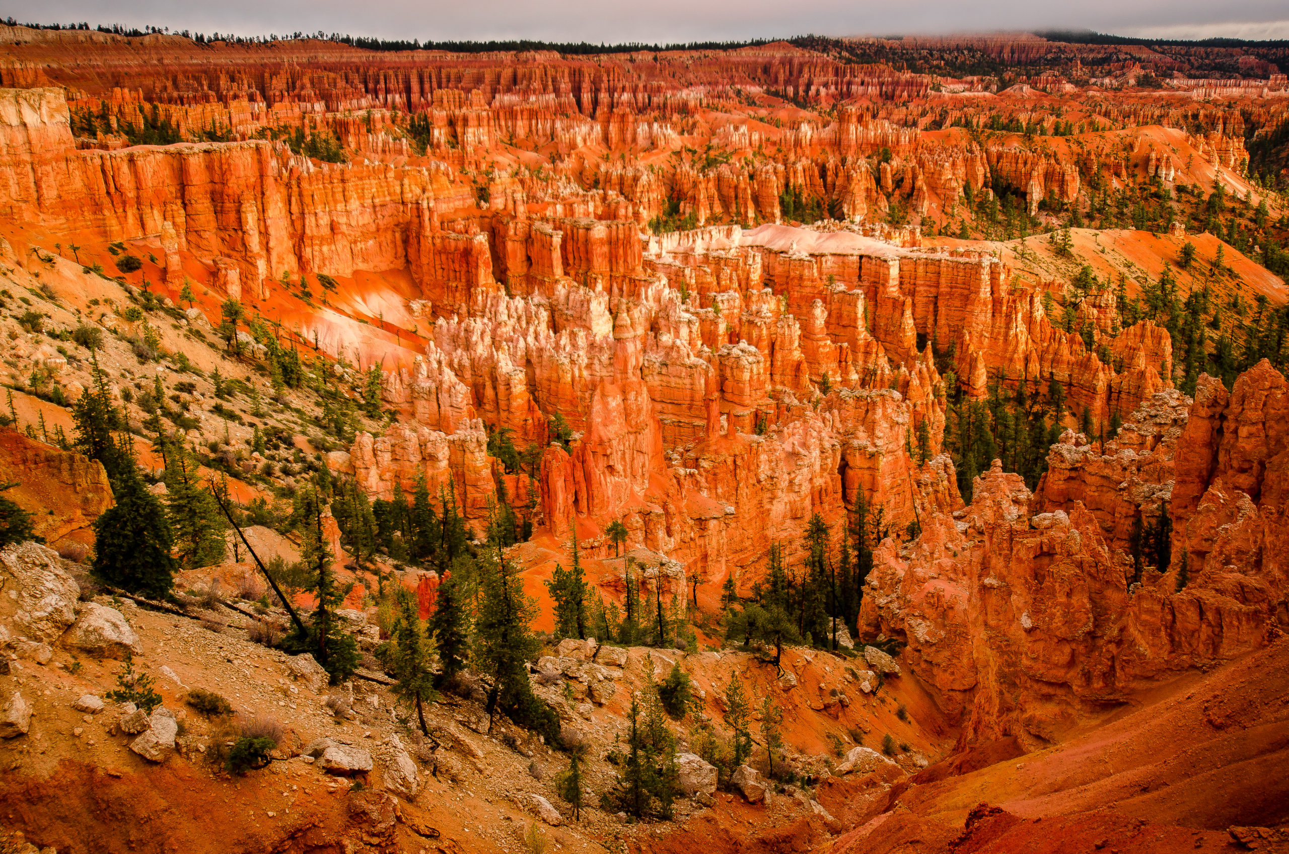 Bryce Morning