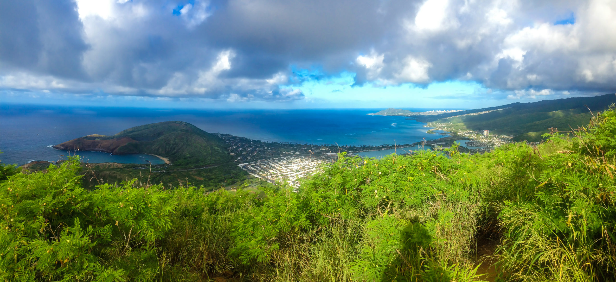 Koko Head Rest