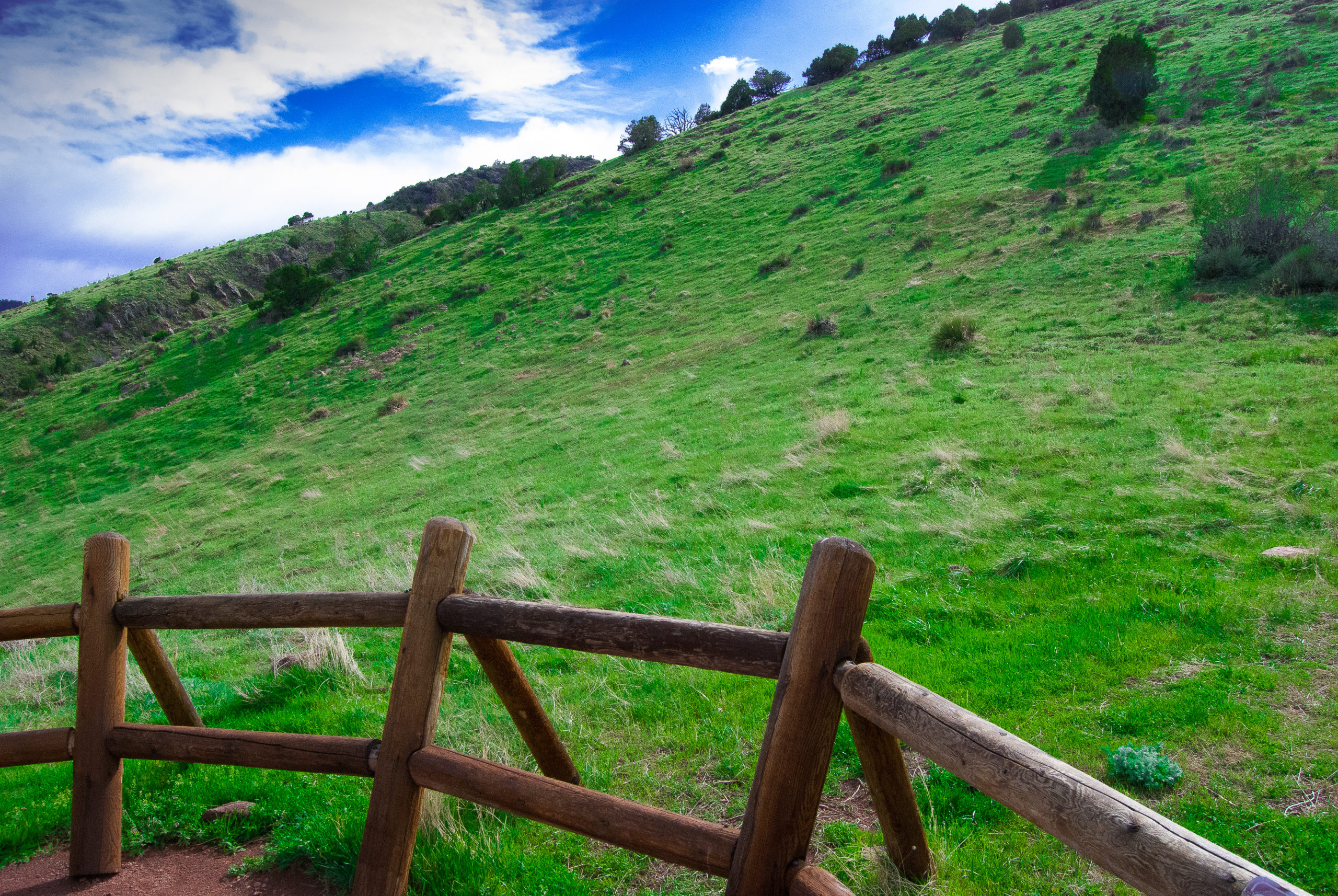 Foothill Pasture 2