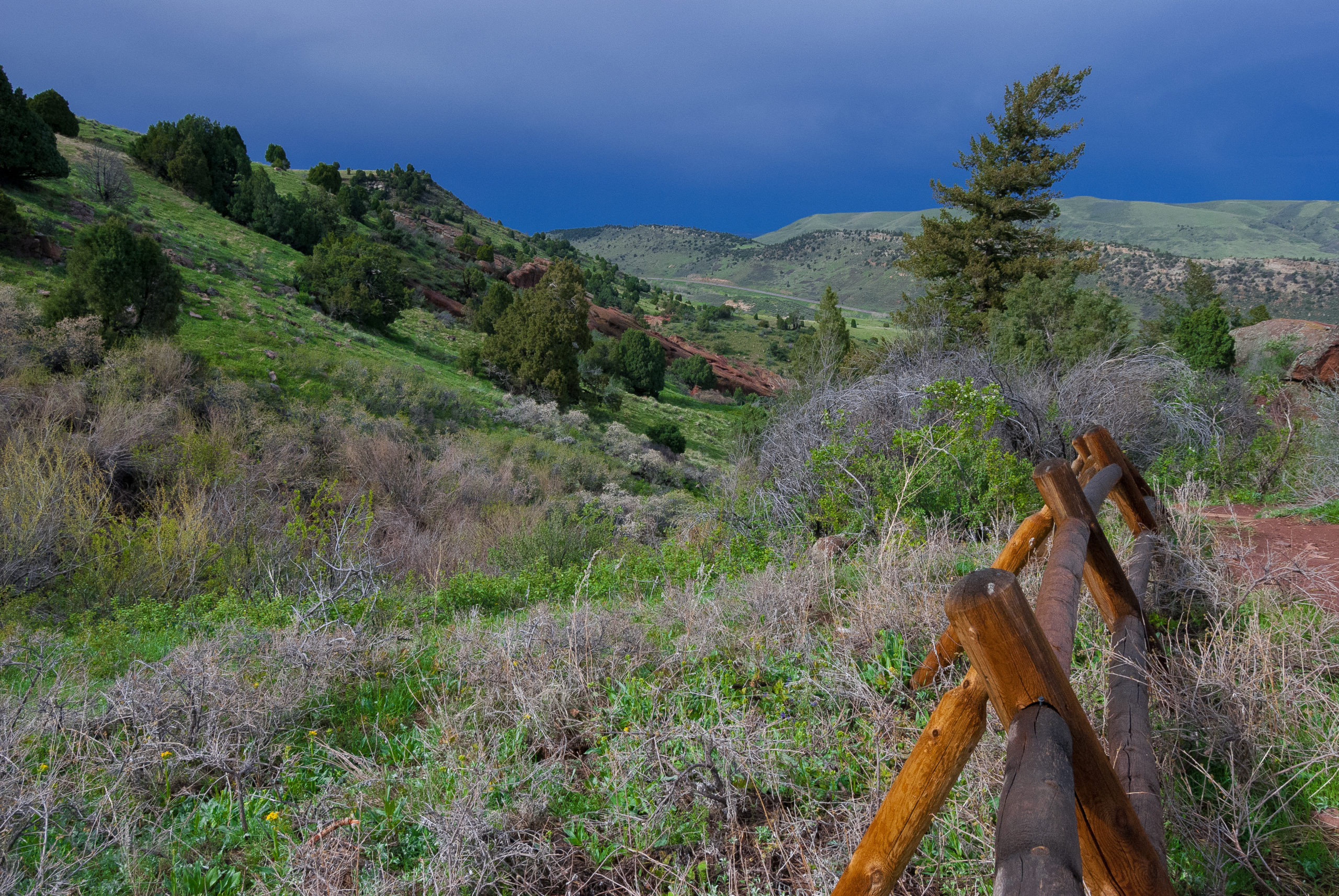 Foothill Spring