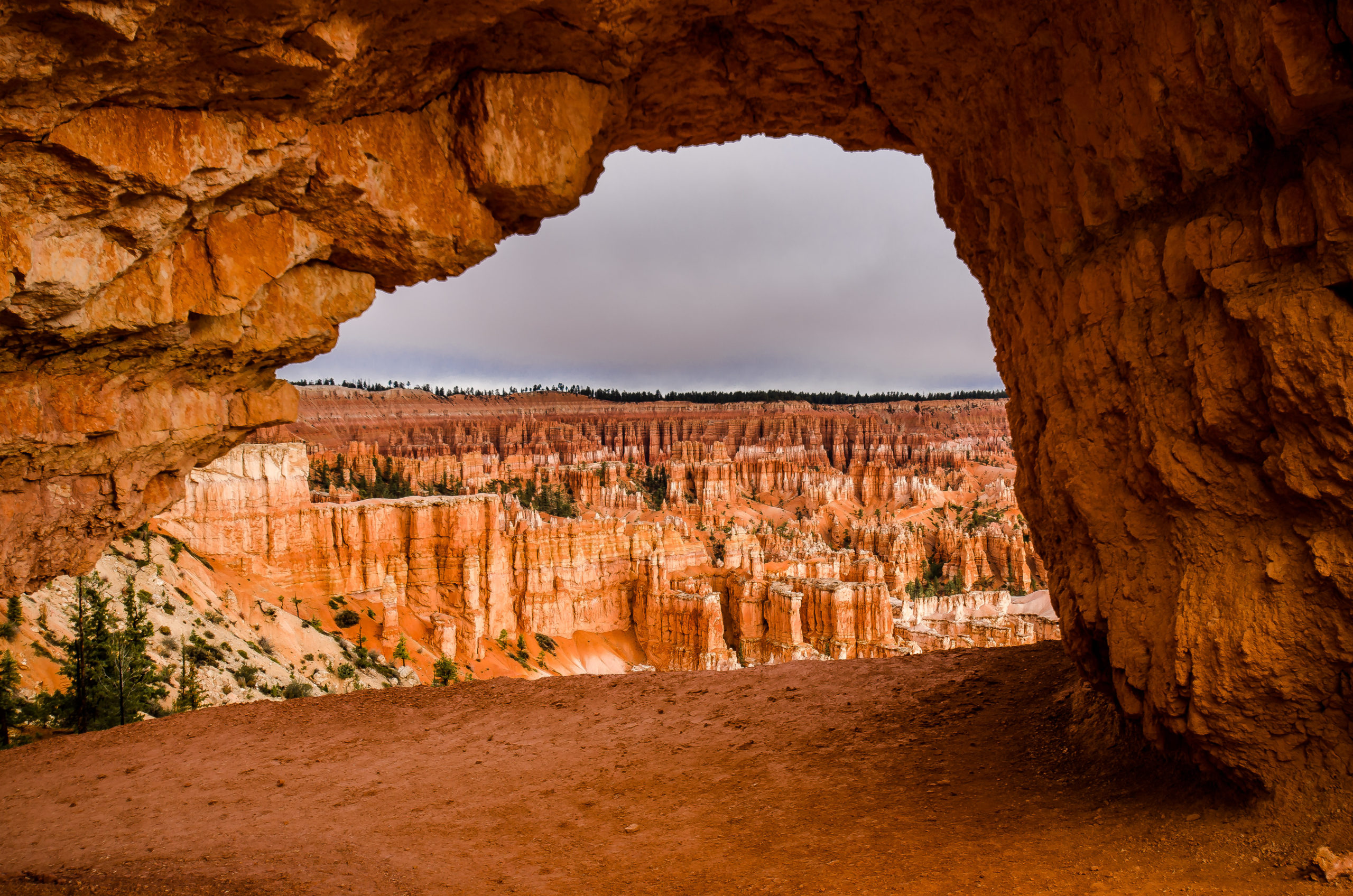 Bryce Preview