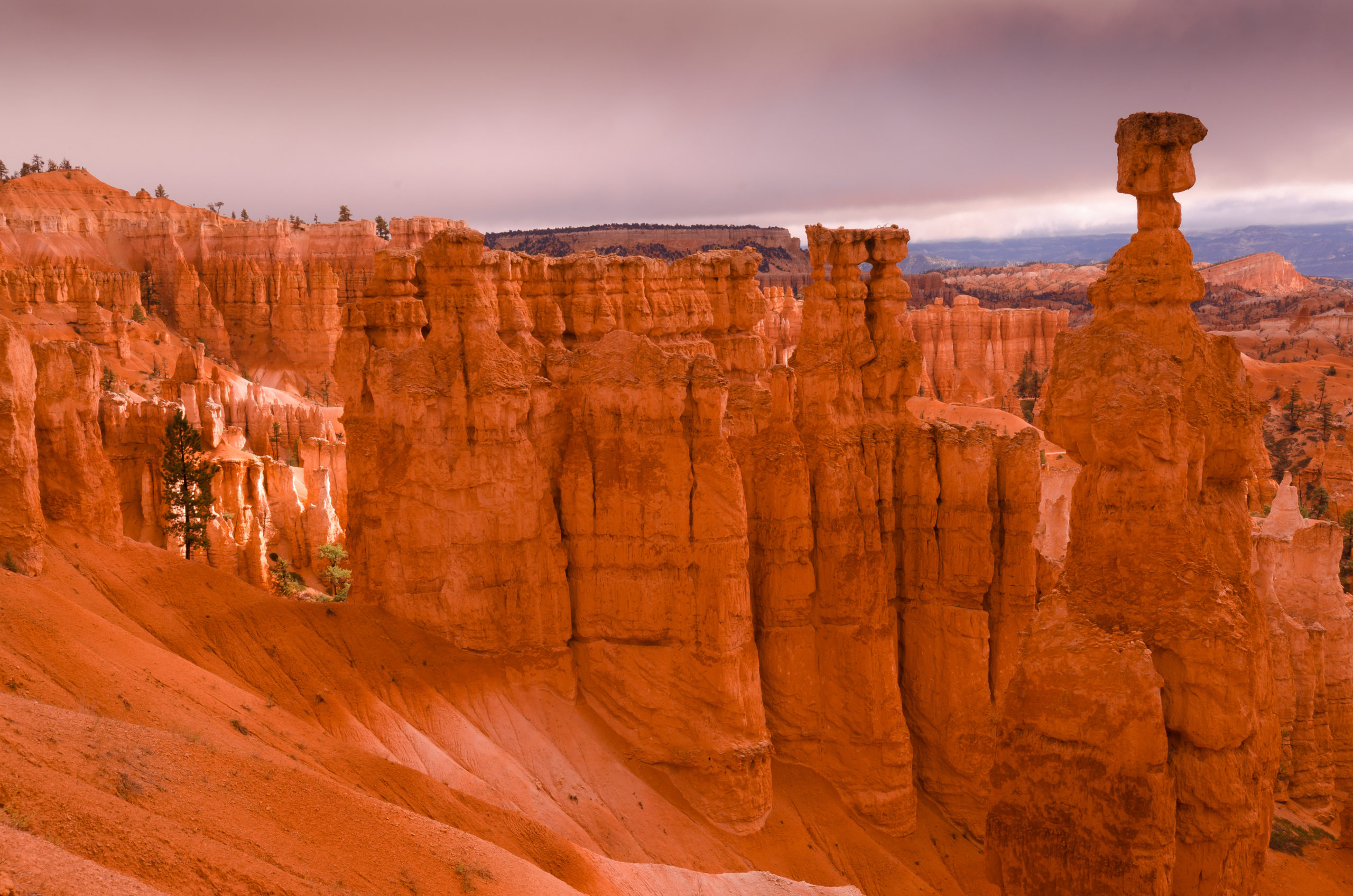 Bryce Morning