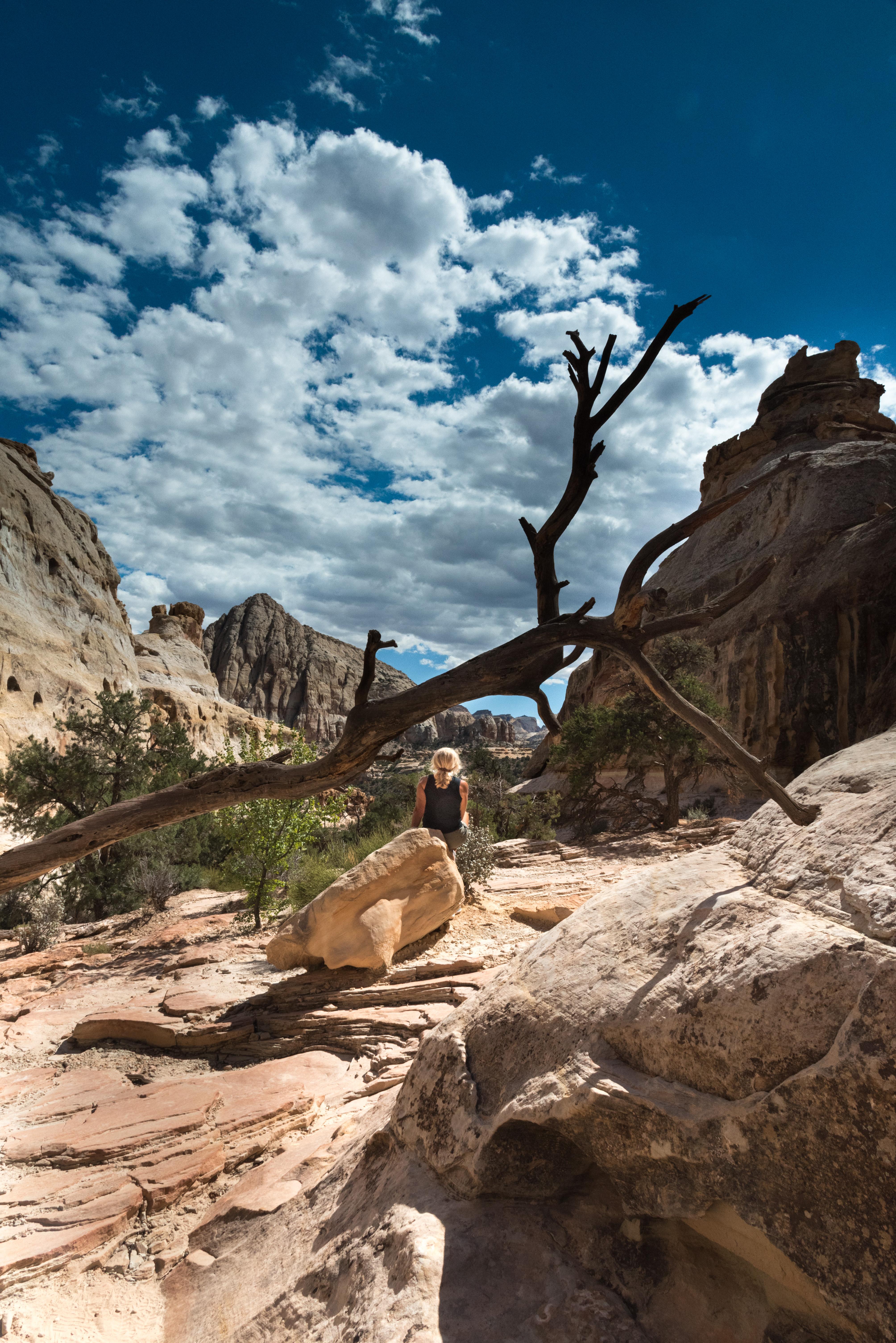 Hickman Arch Trail