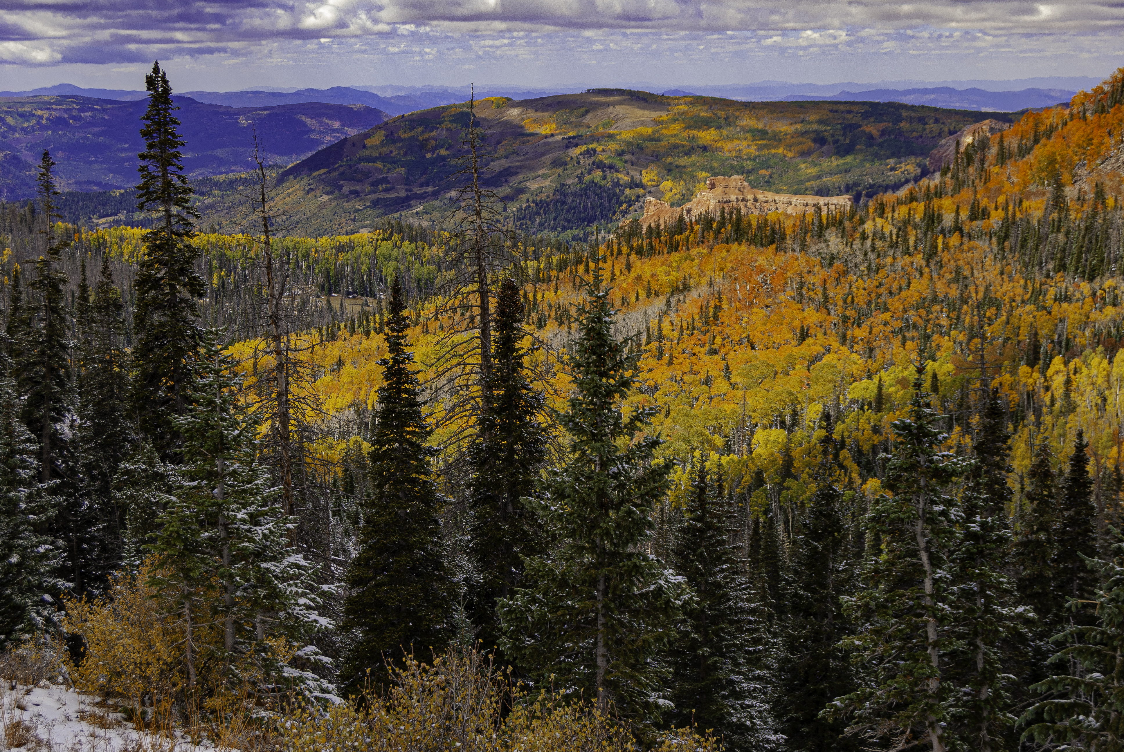 Cedar Fall
