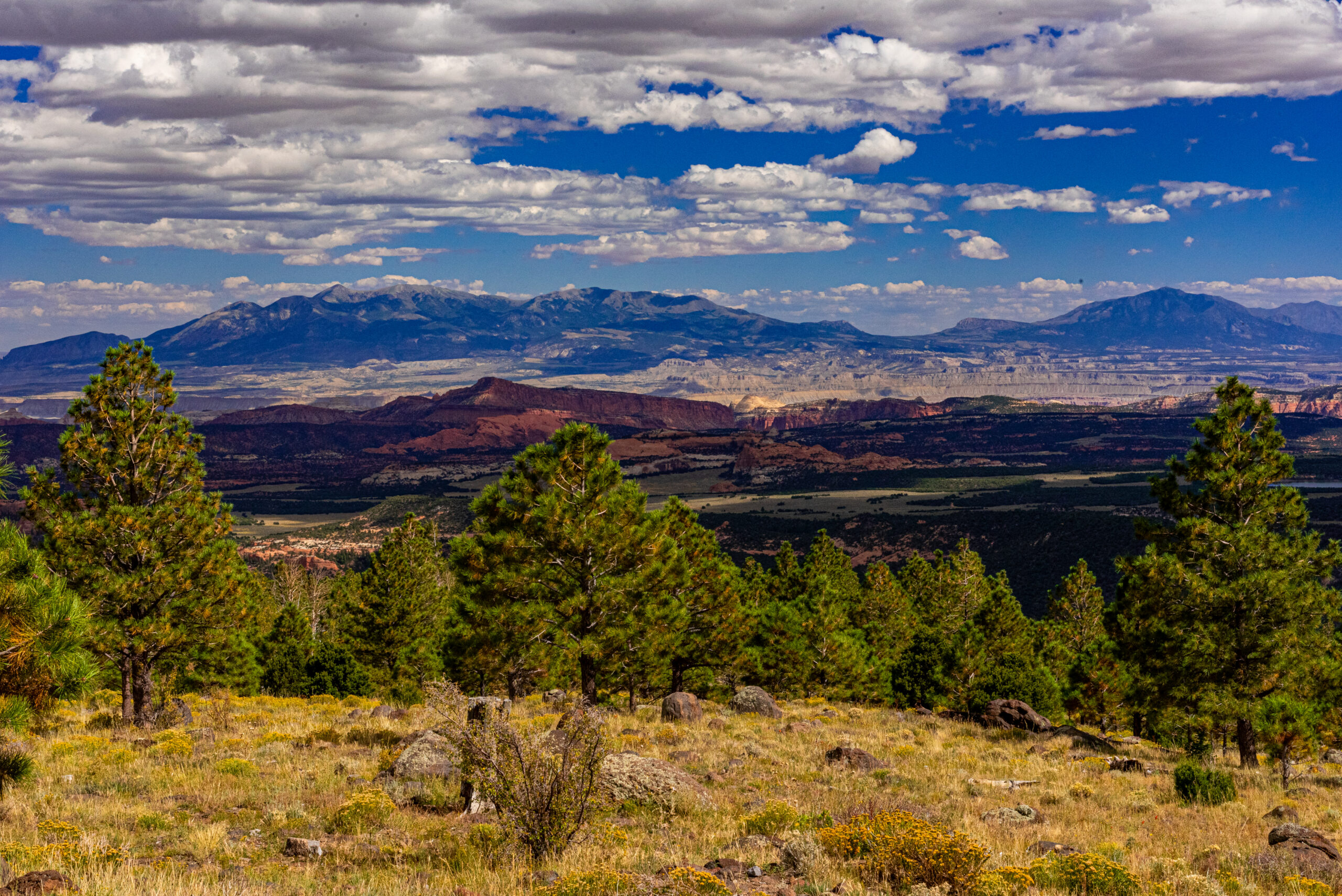 Hwy 12 Vista